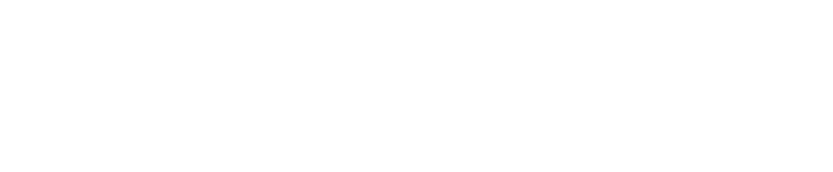 ZeroSecure